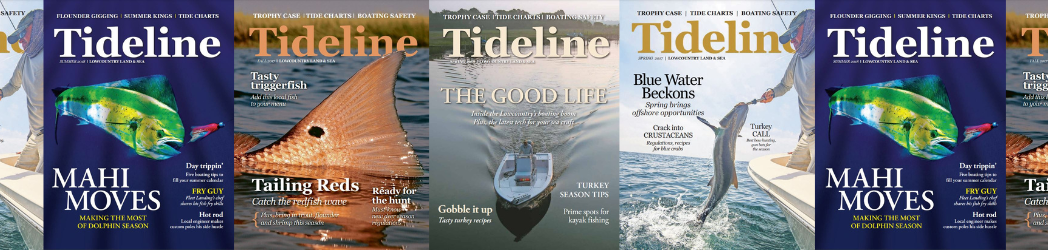 Tideline Magazine
